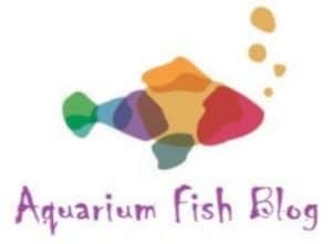 Blog Fish Images Top 100 Aquarium Blogs, Fishkeeping Sites & Best Fish Bloggers 2026